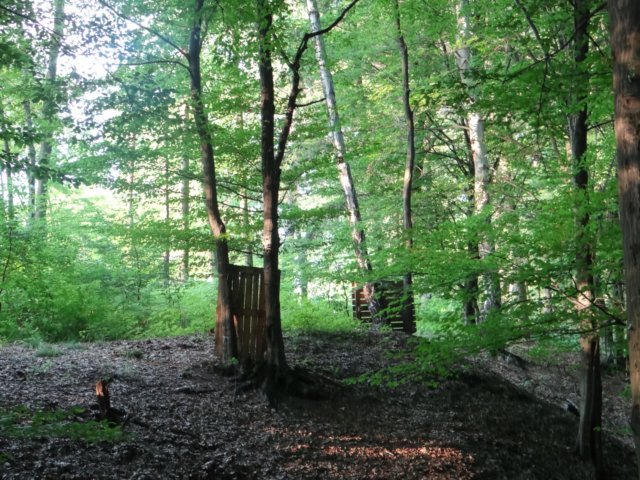 pole07.jpg