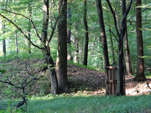 pole12.jpg